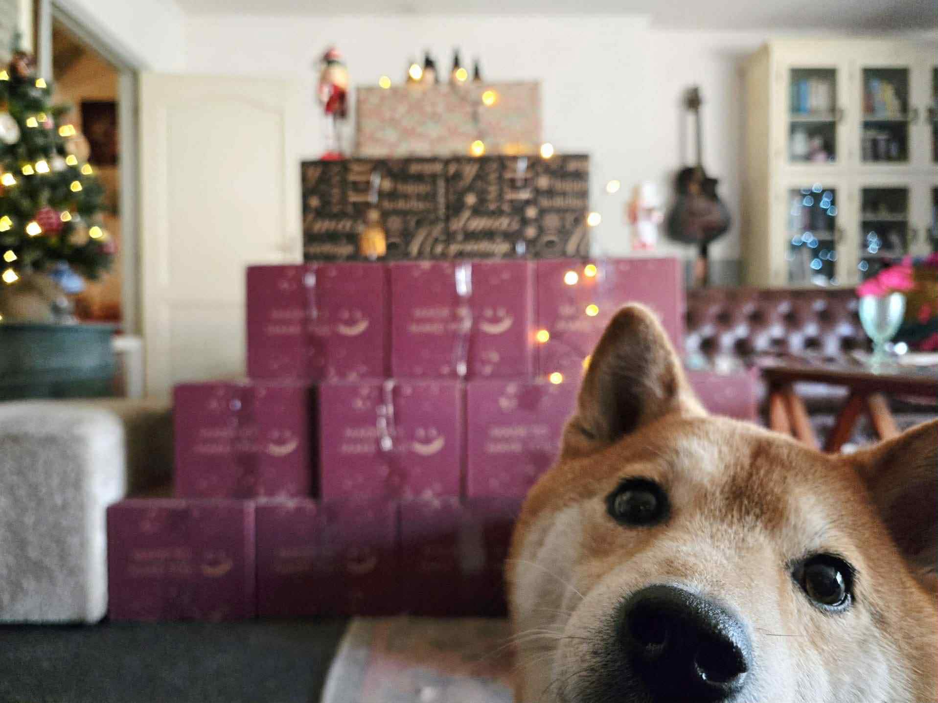 Trots op onze lieve volgers die acties opzetten speciaal voor ons! 