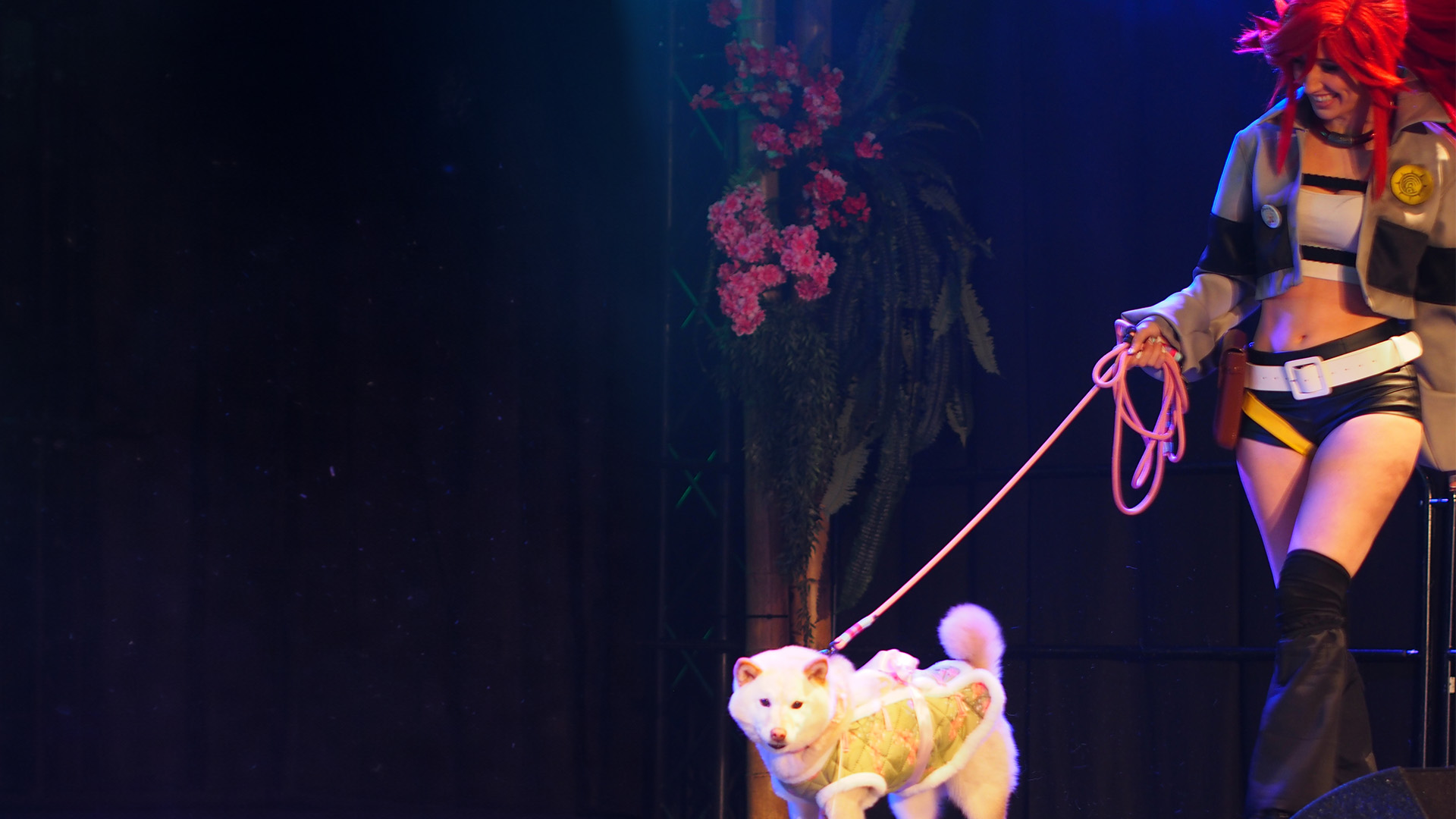 Cosplay-ambassadeurs