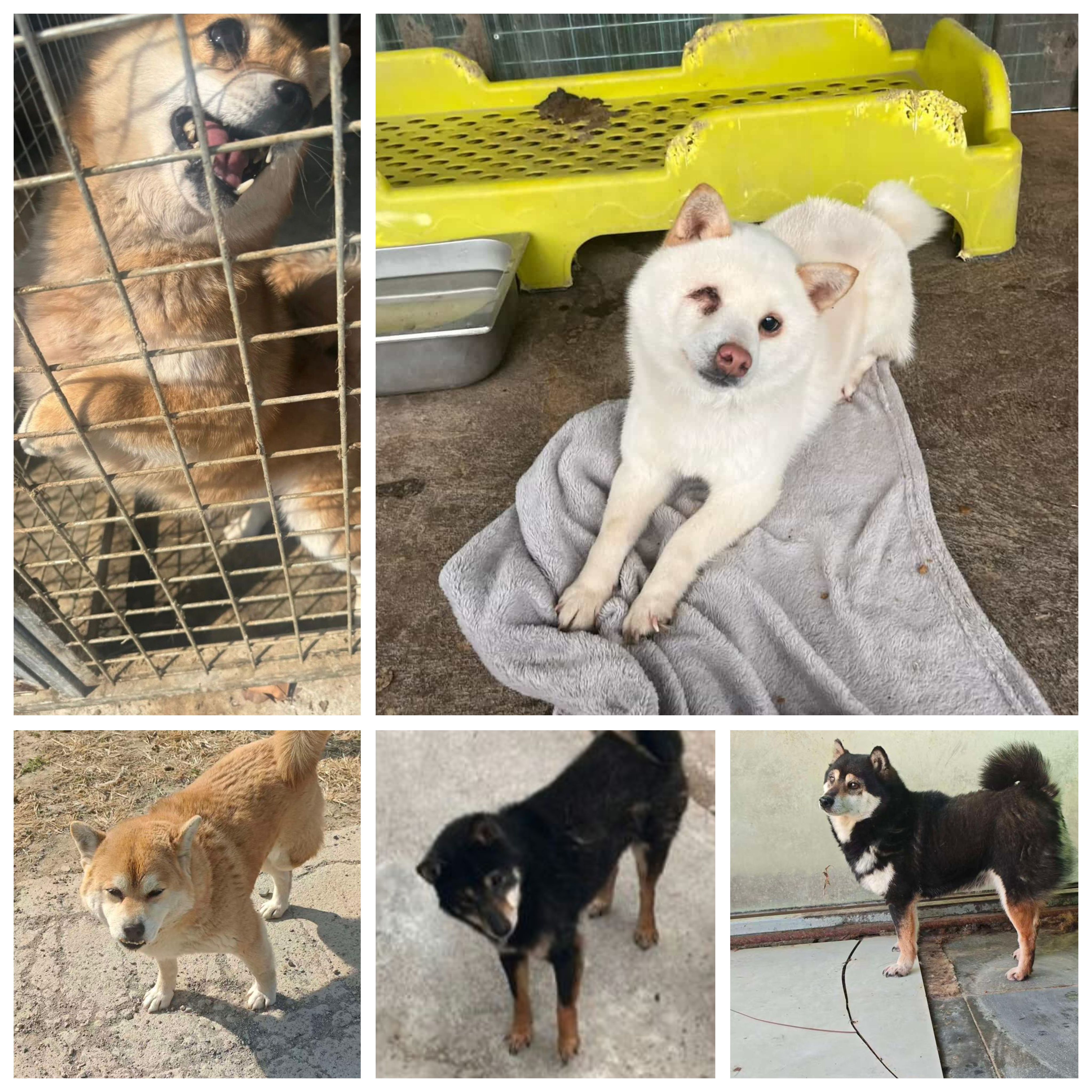 Klein gebaar, grote impact op leven