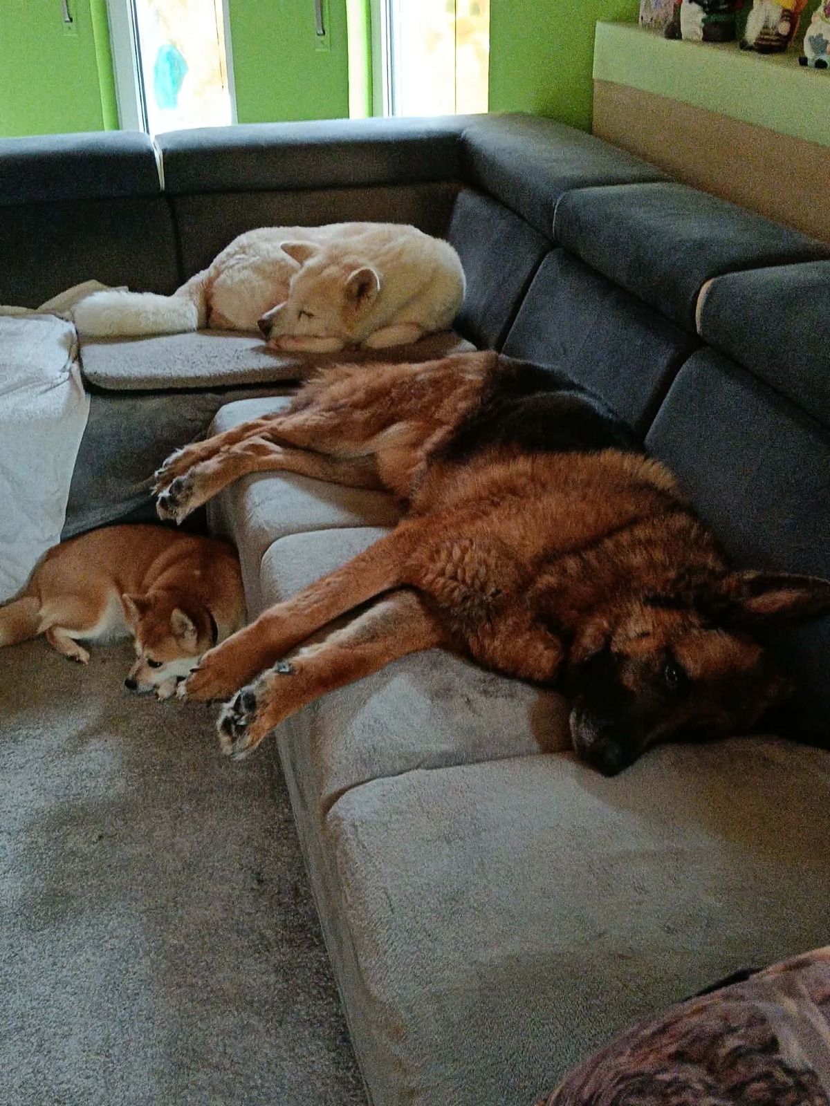 Klaus en Smiley - Familie de Schryver
