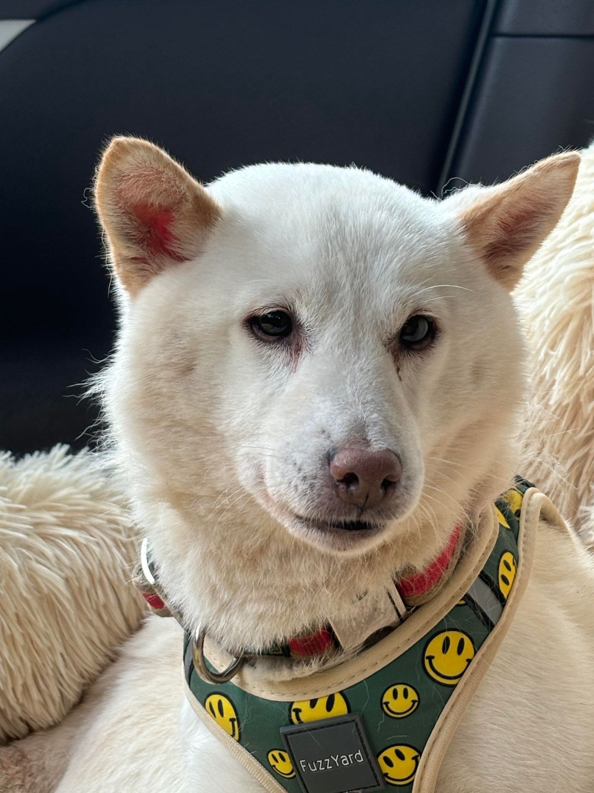 Lily - adoptieverhaal Margot
