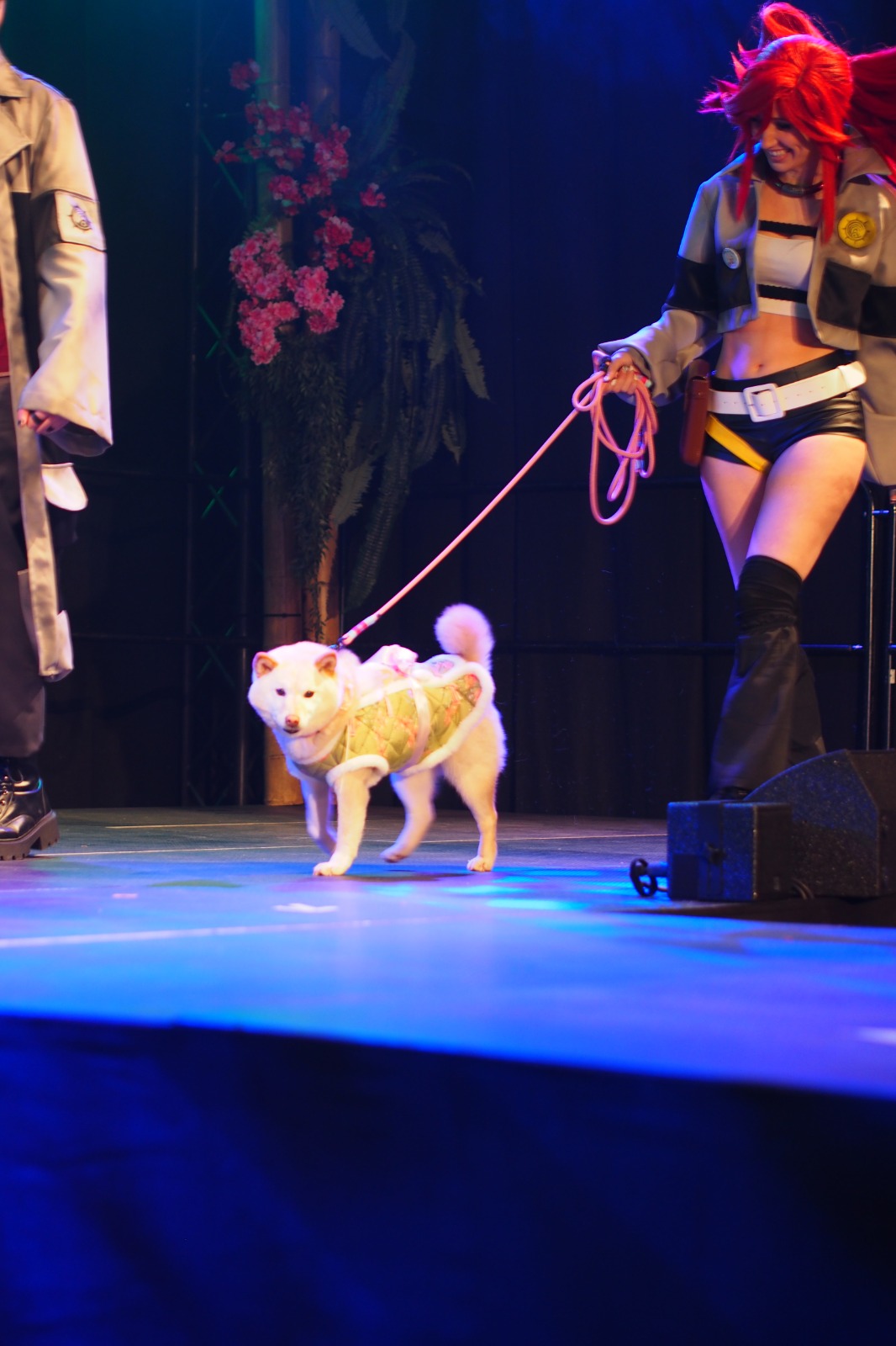 Safe Haven Inu Rescue tijdens Heroes Made in Asia