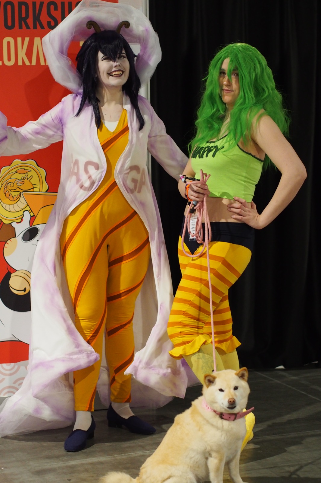 Impressie van onze cosplay-ambassadeur voor Safe Haven Inu Rescue