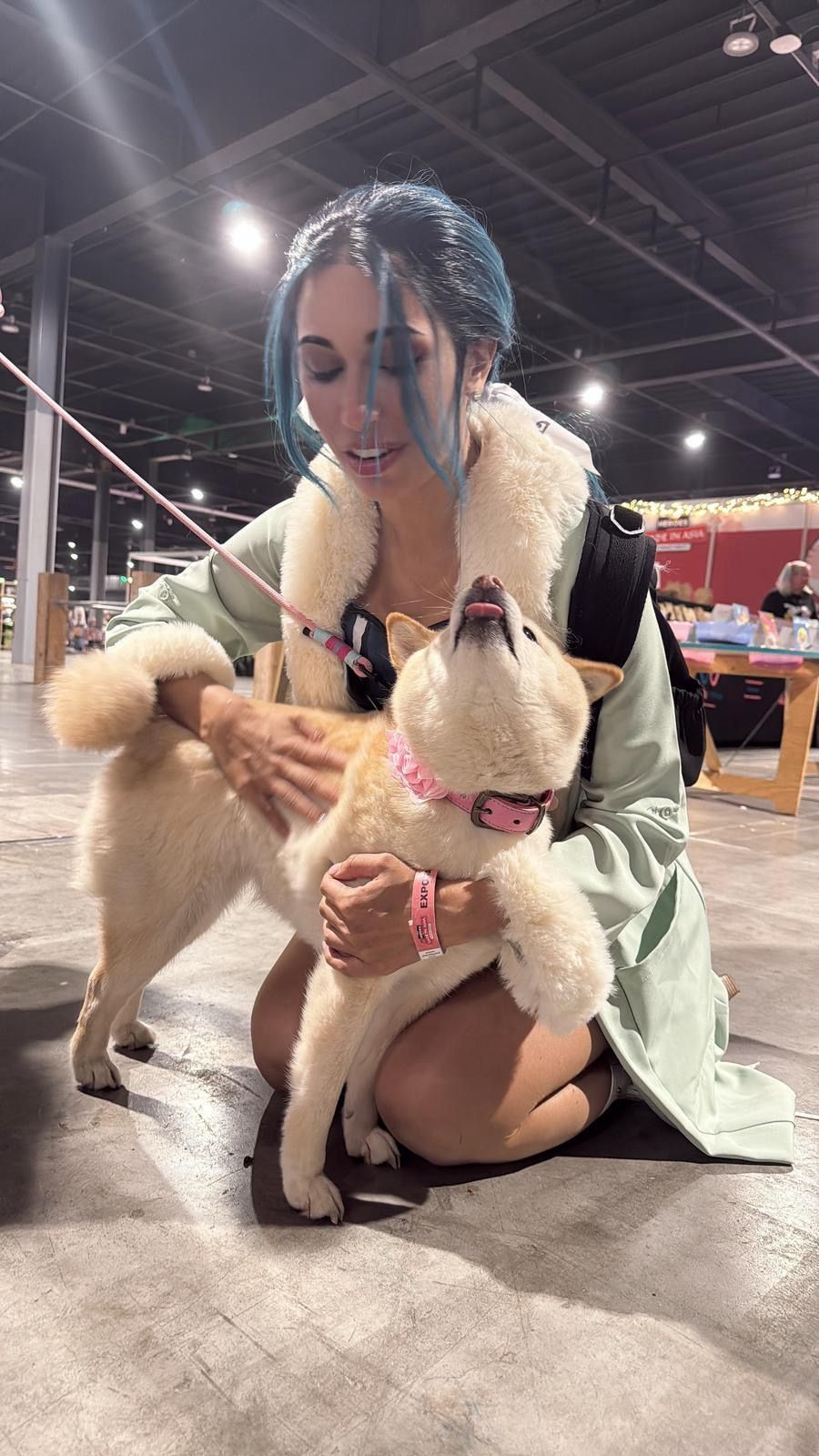 StellarCosplay als cosplay-ambassadeur van Safe Haven Inu Rescue