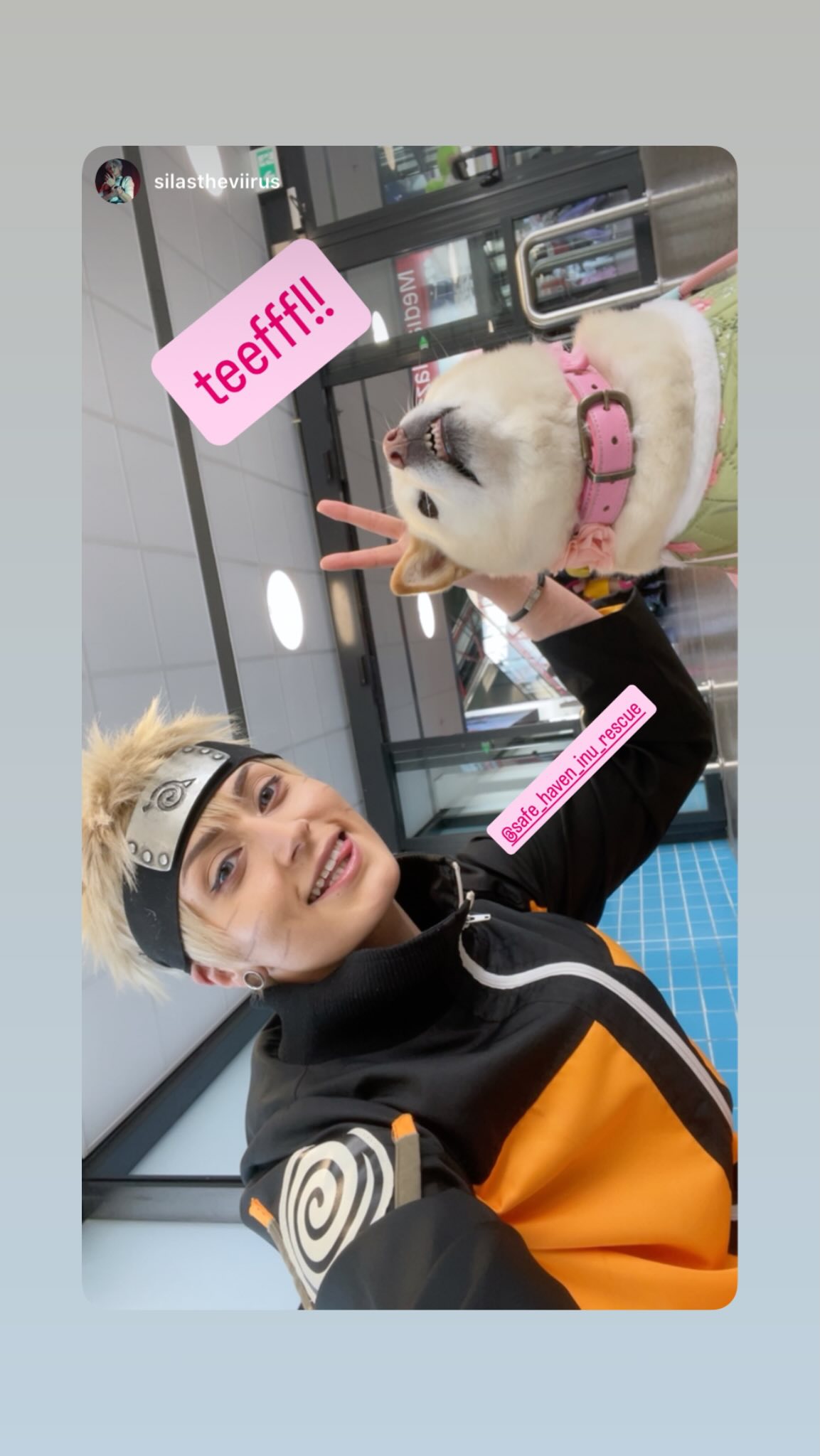 Silastheviirus als cosplay-ambassadeur van Safe Haven Inu Rescue