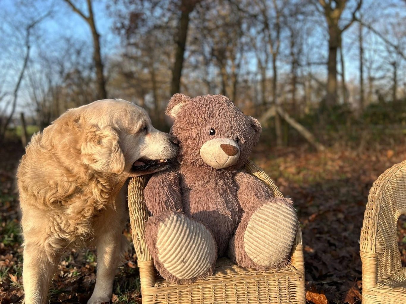 Bij Morris in de Tuin