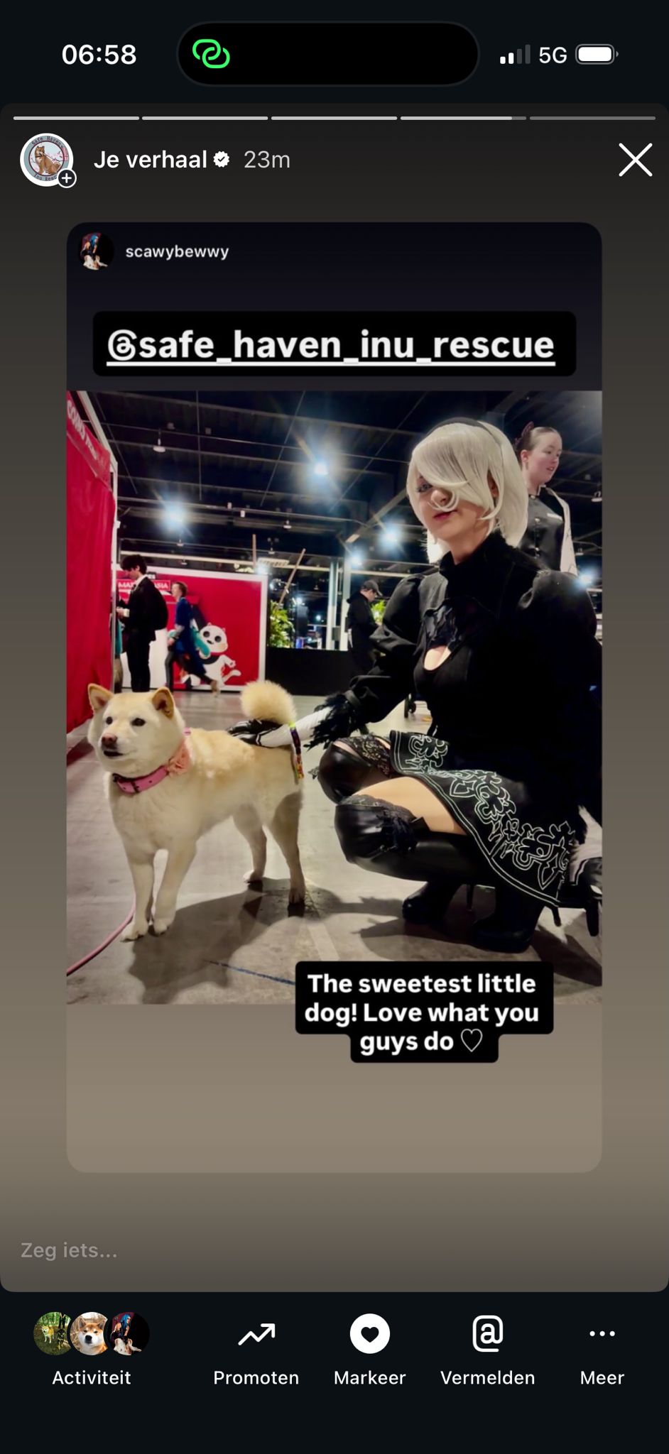 Bezoekers en sfeerbeeld bij Safe Haven Inu Rescue op Heroes Made in Asia