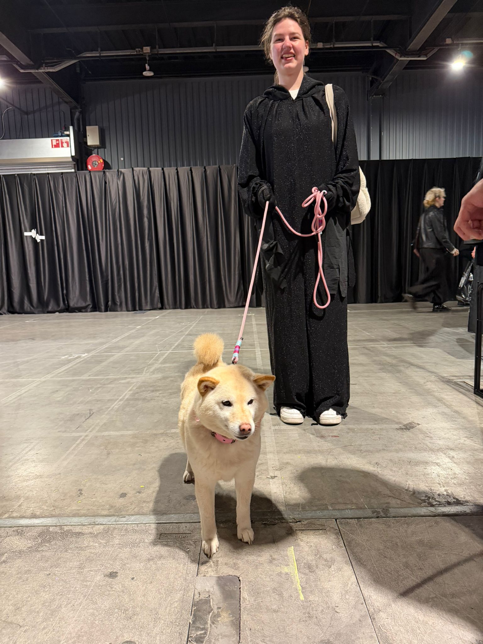 Extra sfeerbeeld van Safe Haven Inu Rescue tijdens Heroes Made in Asia