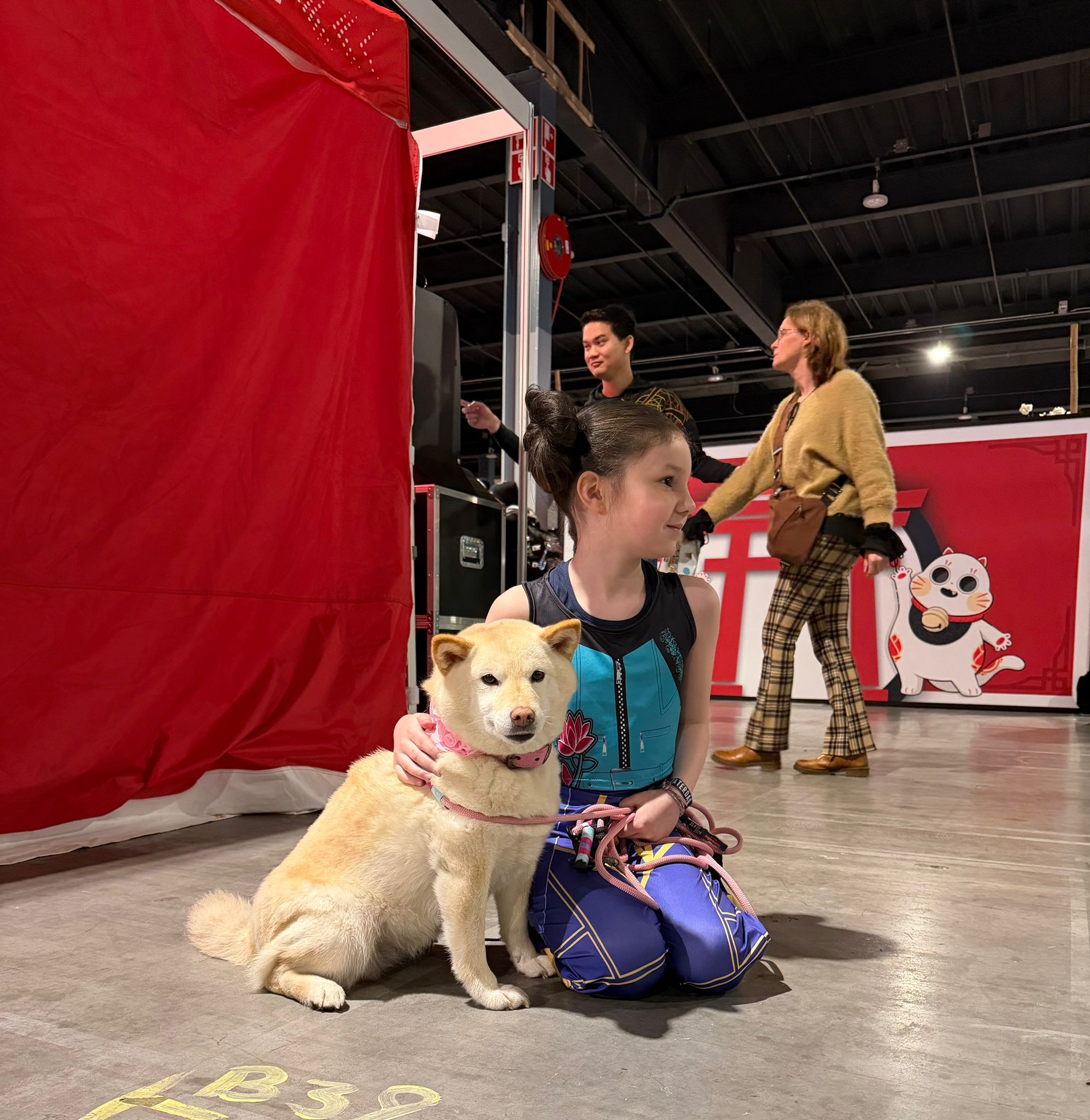 Slotbeeld van Safe Haven Inu Rescue tijdens Heroes Made in Asia