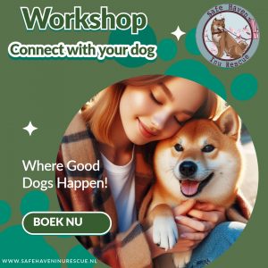 Workshop "Connect with your dog"