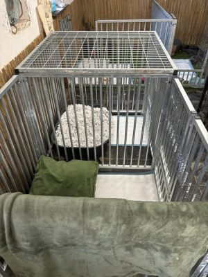 Spoedgeval kennels dankzij DierenDonatie.nl