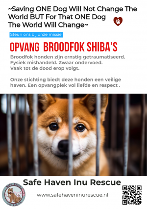 Onze nieuwe flyer