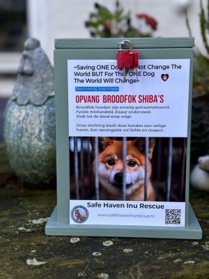Speciale donatieboxen voor SHIR