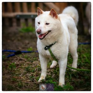 Ook fantastisch nieuws voor Daisy!
