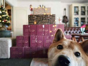 Trots op onze lieve volgers die acties opzetten speciaal voor ons! 