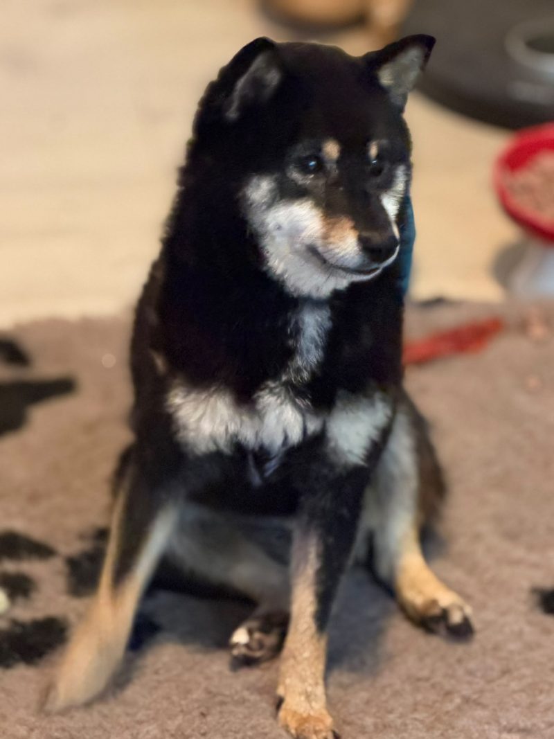 Shoko